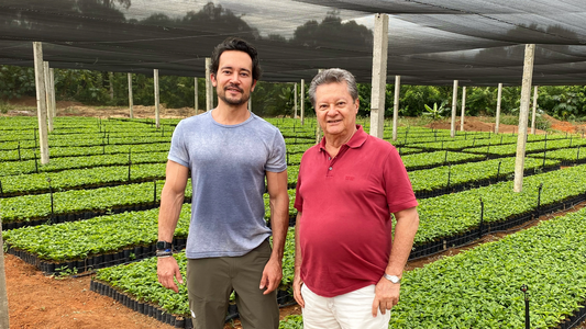 Novos Horizontes no Cultivo de Café em Bonito com a Segunda Geração